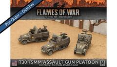 T30 75mm Assault Gun Platoon